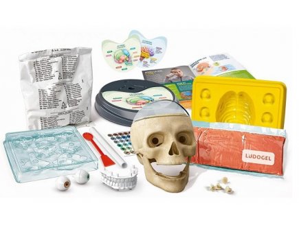 DECOUVERTES ANATOMIQUES - LABO SCIENCE & JEU - CLEMENTONI - 52550 - CORPS HUMAIN