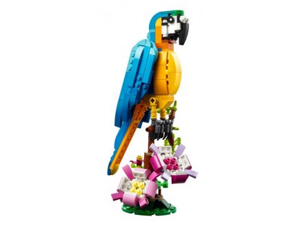 Lego creator 31136 le perroquet exotique