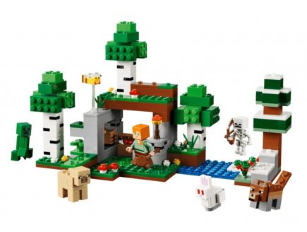 Lego Minecraft 21593 L’aventure de la première nuit