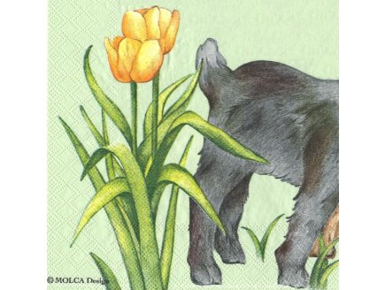 Lot de 20 serviettes en papier verte : 2 agneaux - serviettage animaux de la ferme - jeu loisir cr?atif