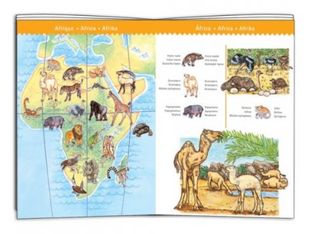 Puzzle d'observation les animaux du monde avec livret 100 pieces - Djeco - dj07420