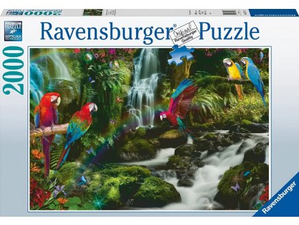 Puzzle le paradis des perroquets 2000 pieces - collection oiseaux exotiques - Ravensburger - 171118