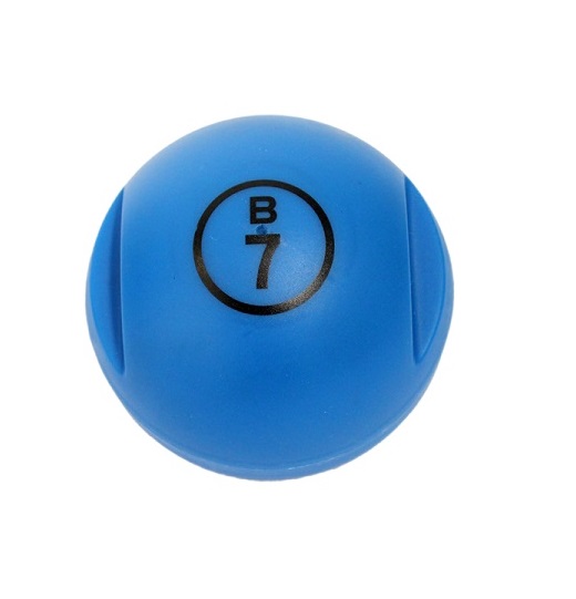Boule de loto magnétique et 100 pions bleu - Matériel bingo