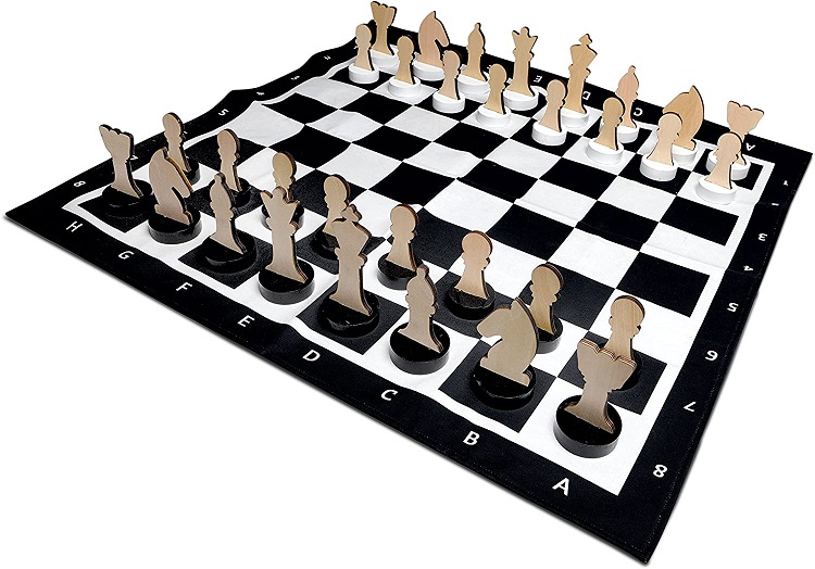 Jeux d'échecs Entrée de Gamme (Moins de 100€)