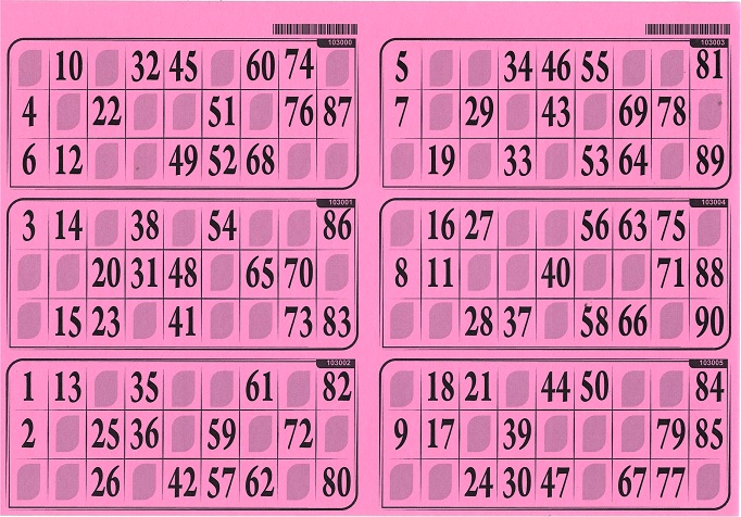 Plaque de 6 grilles de loto bingo Tradition - Jeux, Jouets