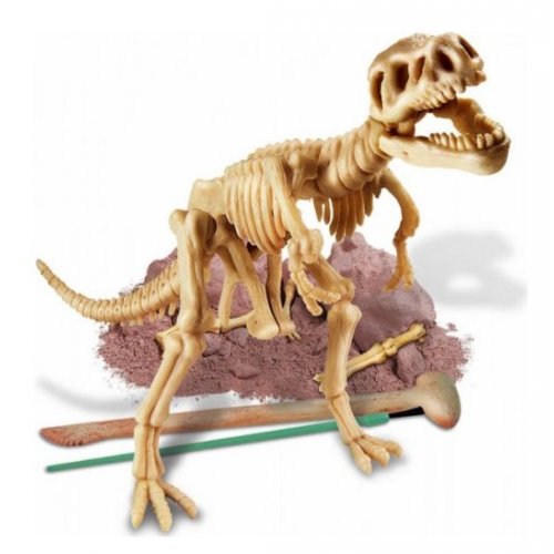 Archéo-ludic - Excavation de squelette - Vélociraptor